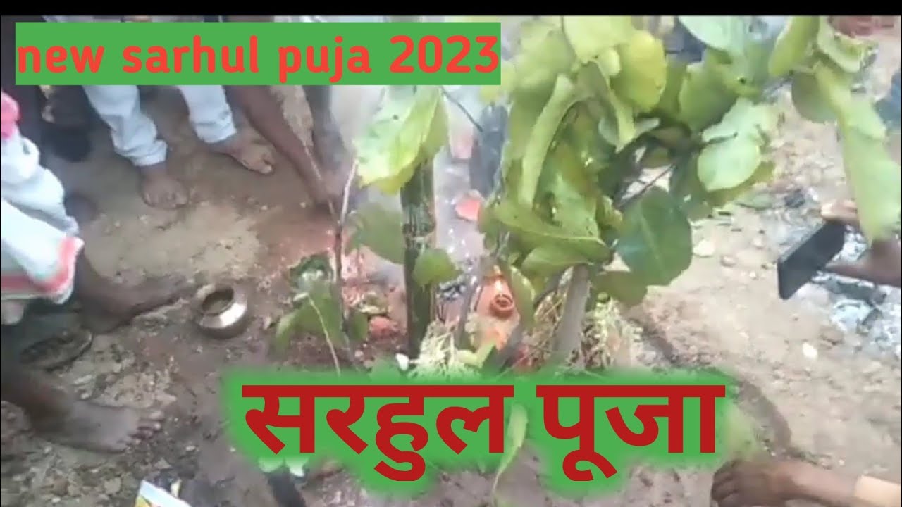How to sarhul puja | सरहुल पूजा कैसे करें | sarhul puja karna sikhe 2023