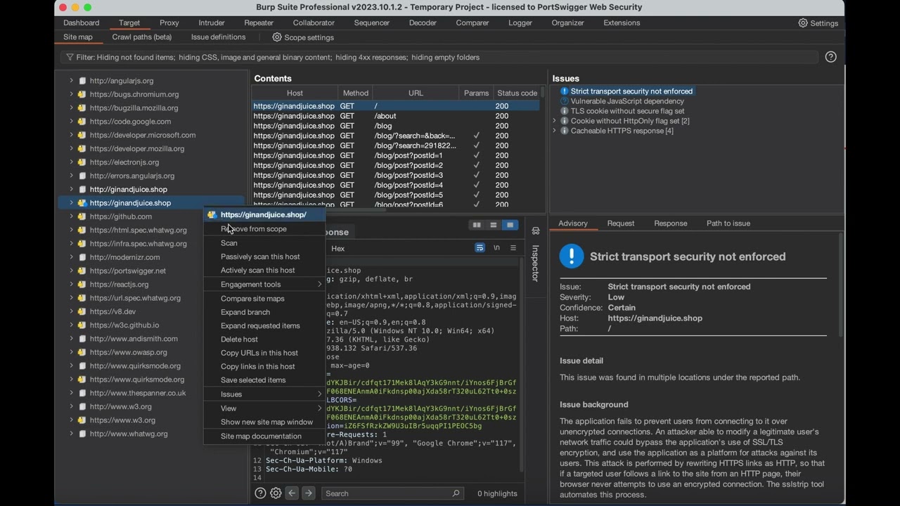 Автоматизированное обнаружение контента с помощью Burp Suite