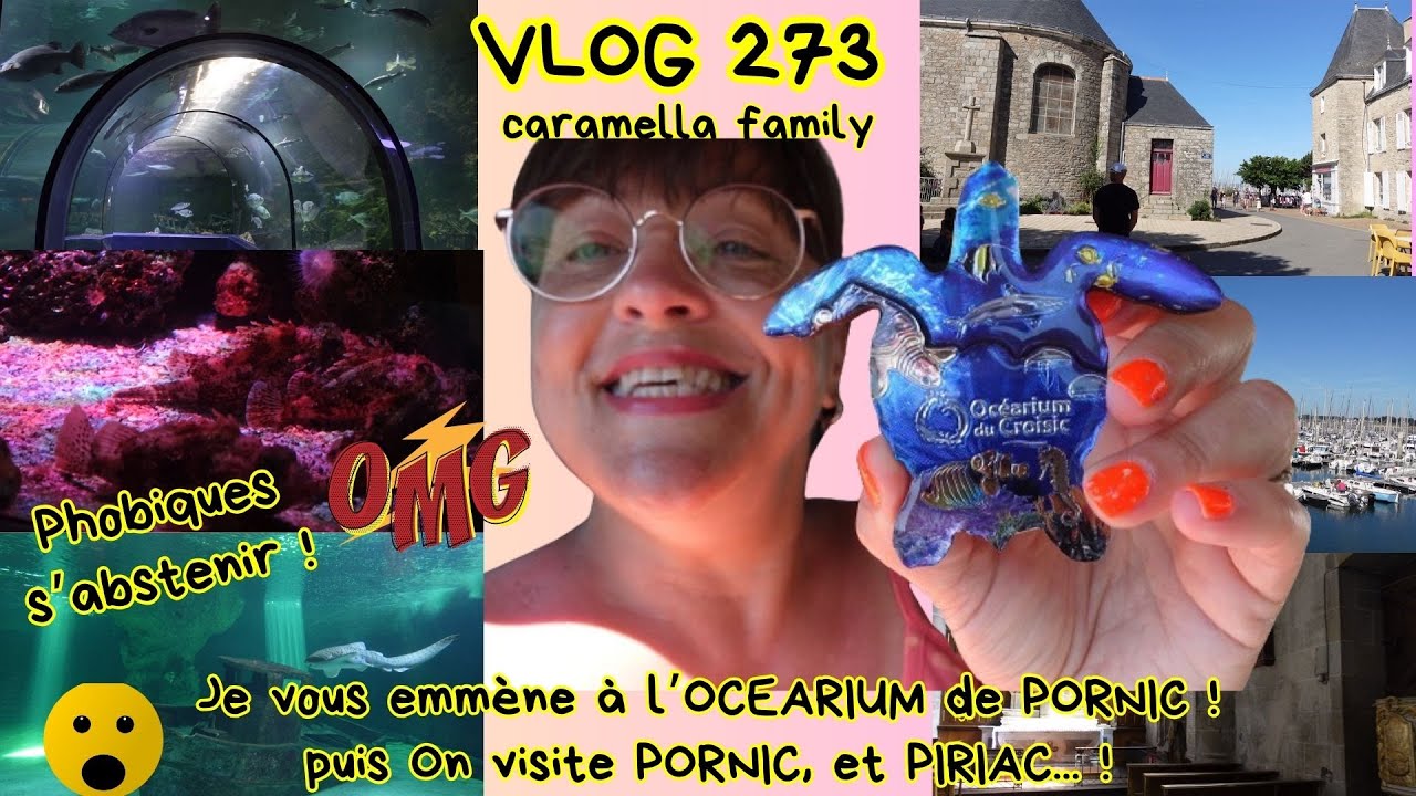 VLOG 273/Je vous emmène à l'OCEARIUM du CROISIC/SPLENDIDE/On visite PORNIC et PIRIAC et plus encore