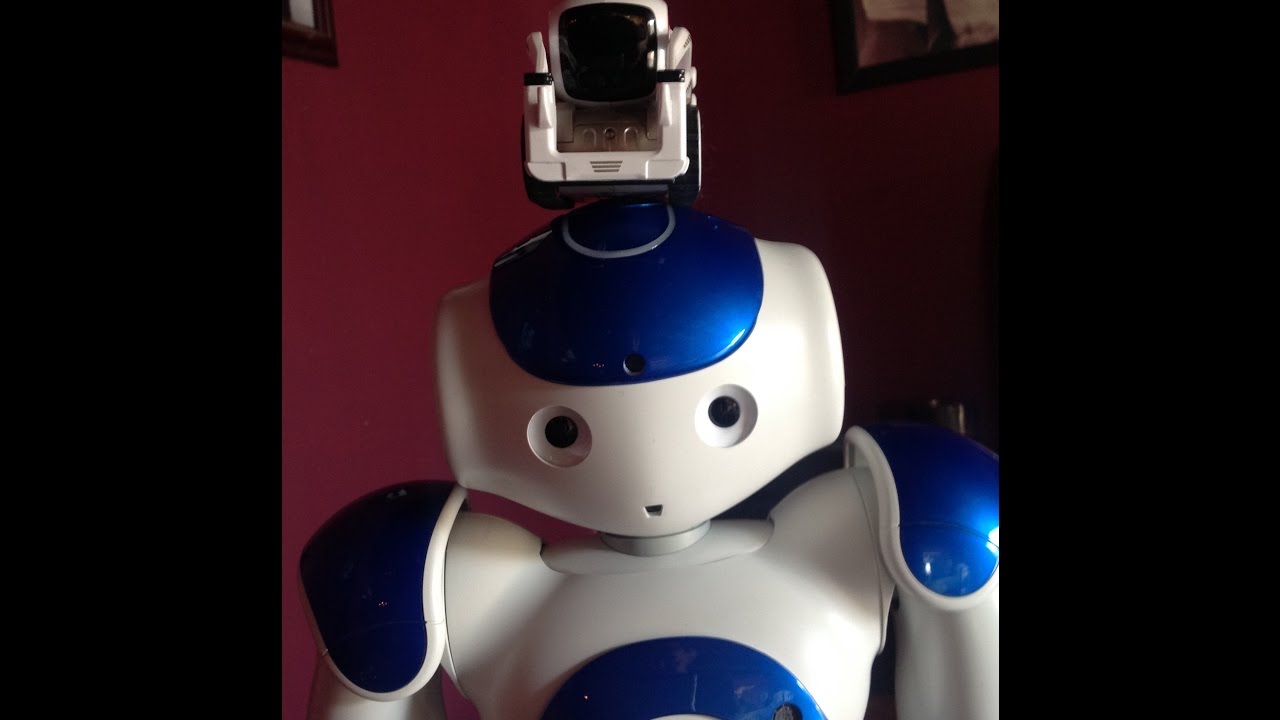 The Challenge Nao vs Cozmo #Aldebarannao #homerobot #humanoidrobot