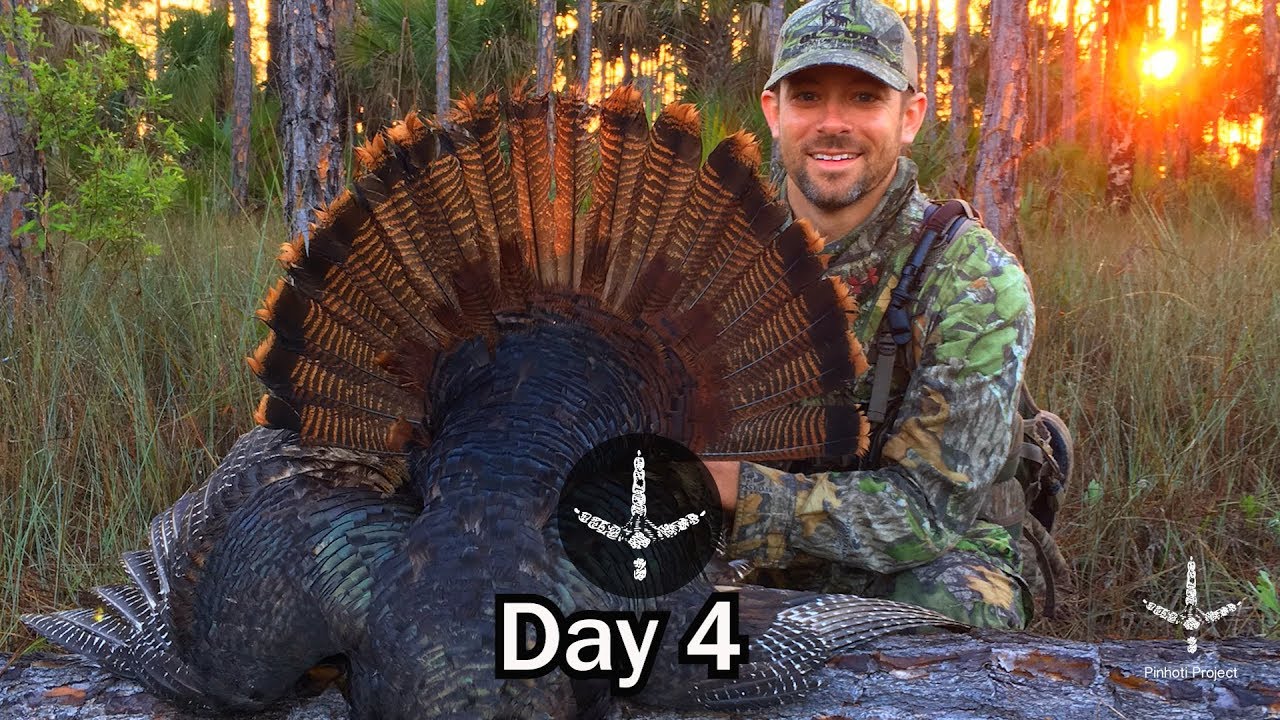 GOBBLING OSCEOLA TURKEYS AND STRIKING MOCCASINS- Pinhoti Project Day 4