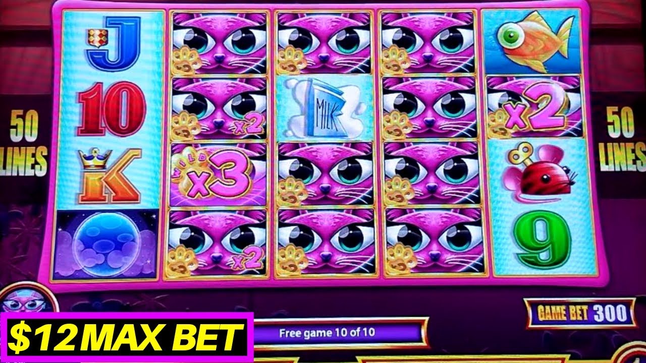 Wonder 4 Tall Fortunes MISS KITTY GOLD Slot Machine BIG WIN-$12 Max Bet | Live Slot Play/NG Slot