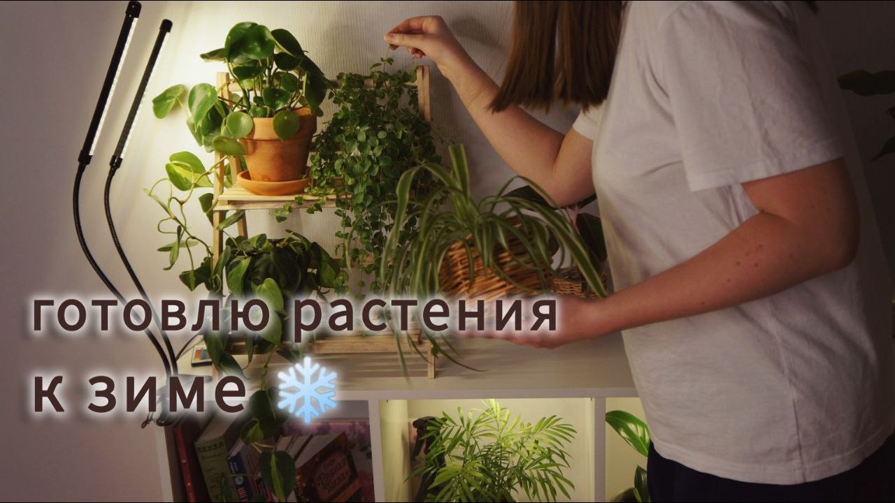 Обновляю уголок с растениями к зиме | разбор стеллажа и новые фитолампы 🌿✨