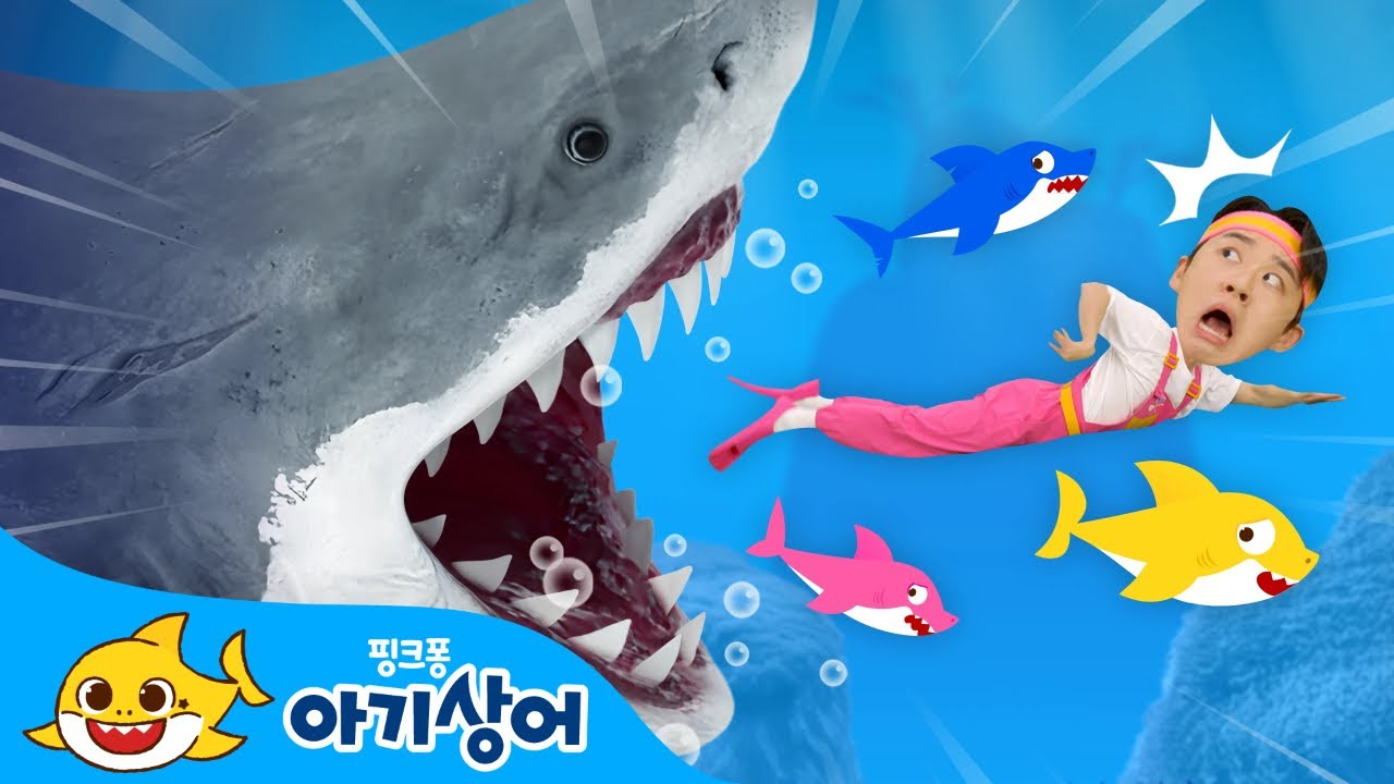 도망쳐! 대왕 상어가 나타났어요!🦈 | 아기상어와 뚜루루뚜루🎶 | 상어가족 인기 동요 | 핑크퐁! 아기상어 올리