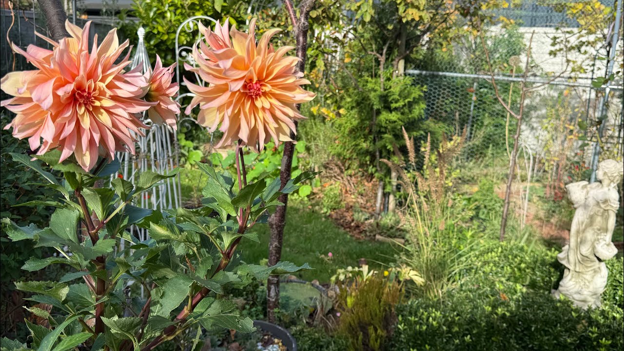 October 2025 garden tour