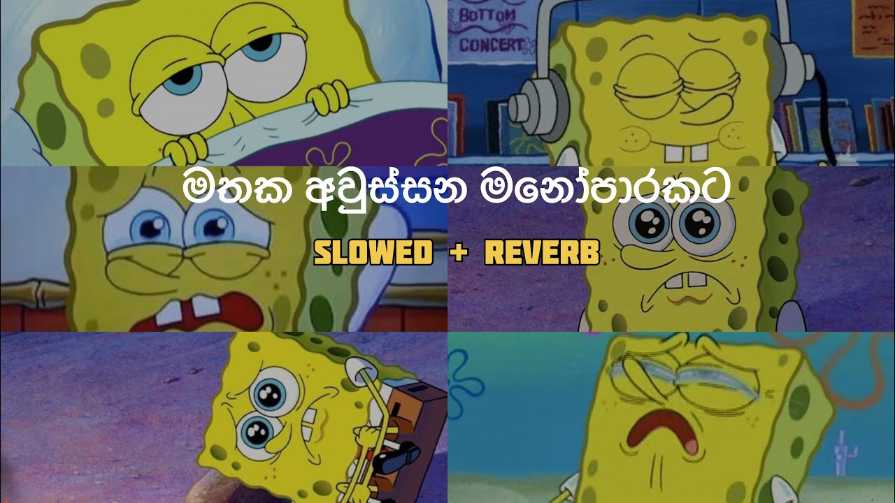 මතක අවුස්සන මනෝපාරකට | Slowed and Reverb Songs | manoparakata sindu playlist 5