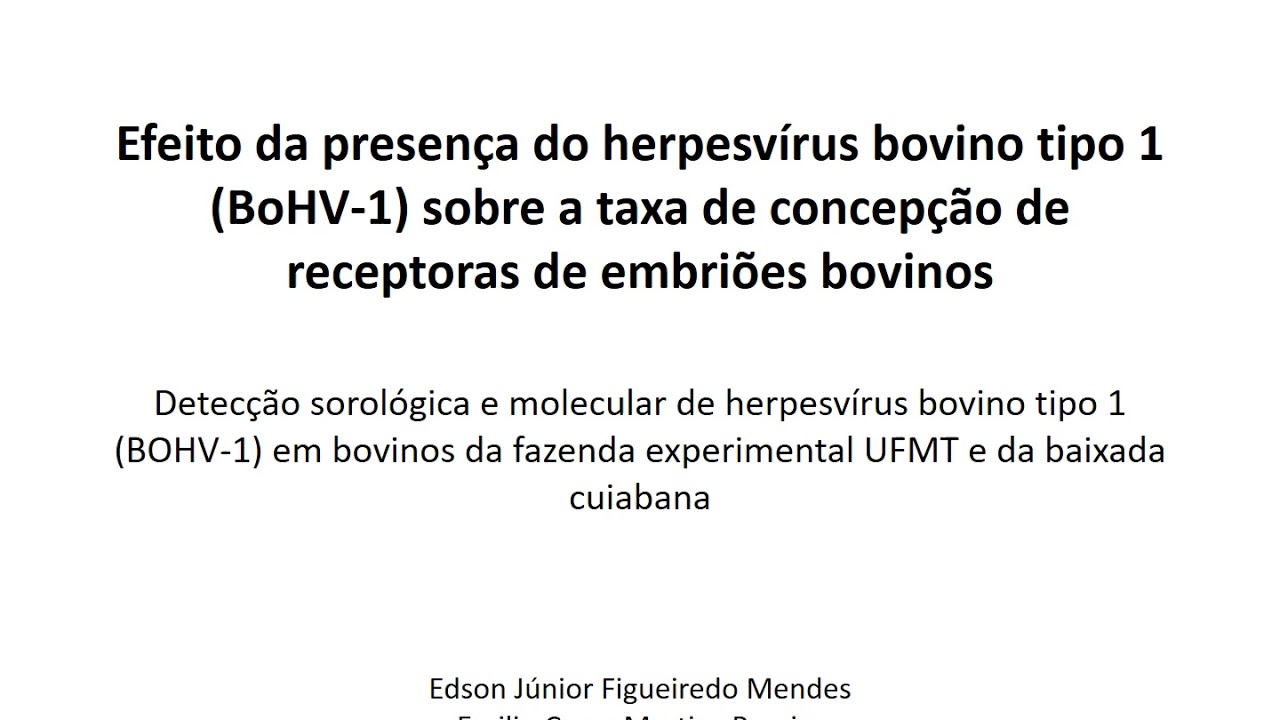 Apresentação PIBIC - Edson Jr/ Detecção sorológica e molecular do herpesvírus bovino tipo-1 (BoHV-1)