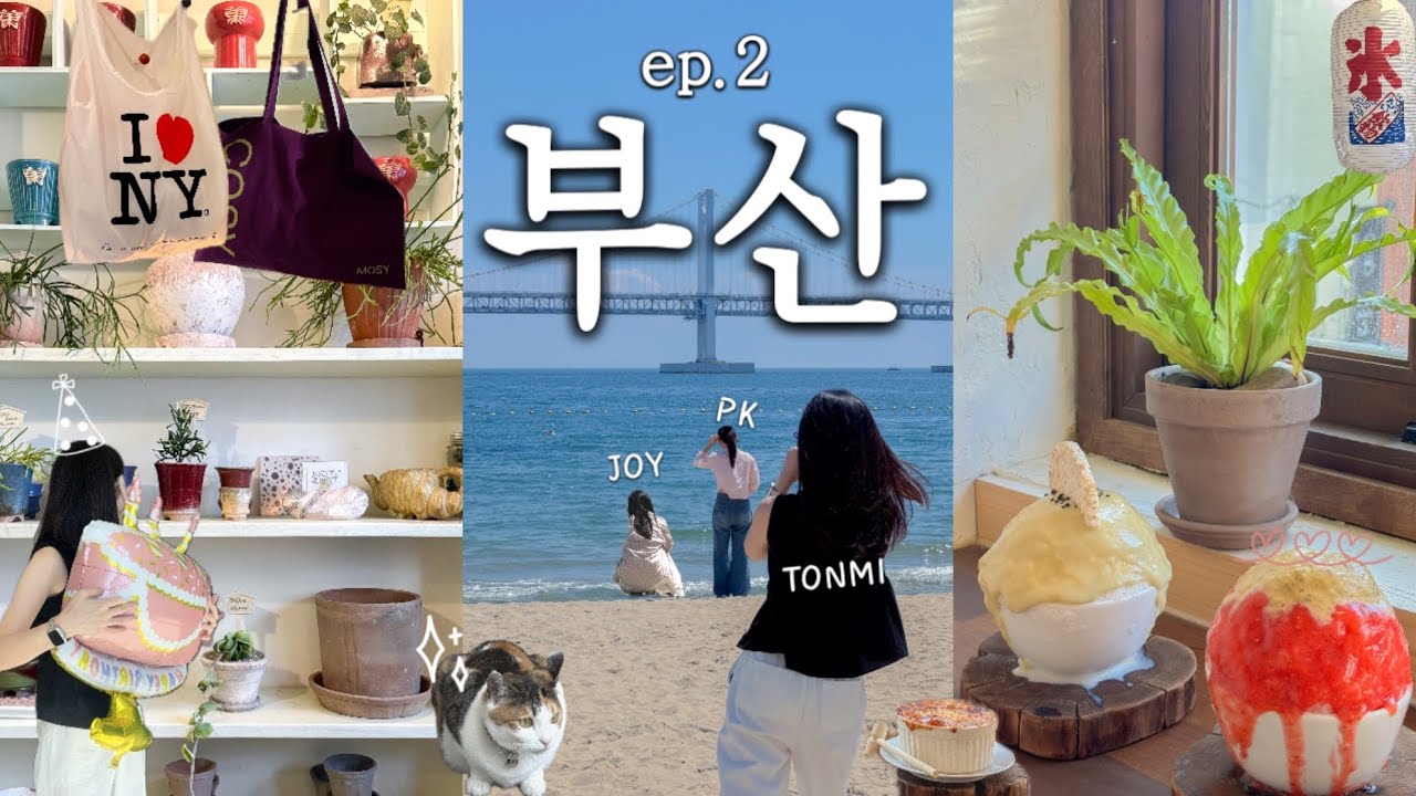 [VLOG] 부산브이로그 | 관광은없고 또 먹기만 해 | 웨이팅맛집 완벽정복 | 녹친자들의 부산에서 녹차맛 찾기
