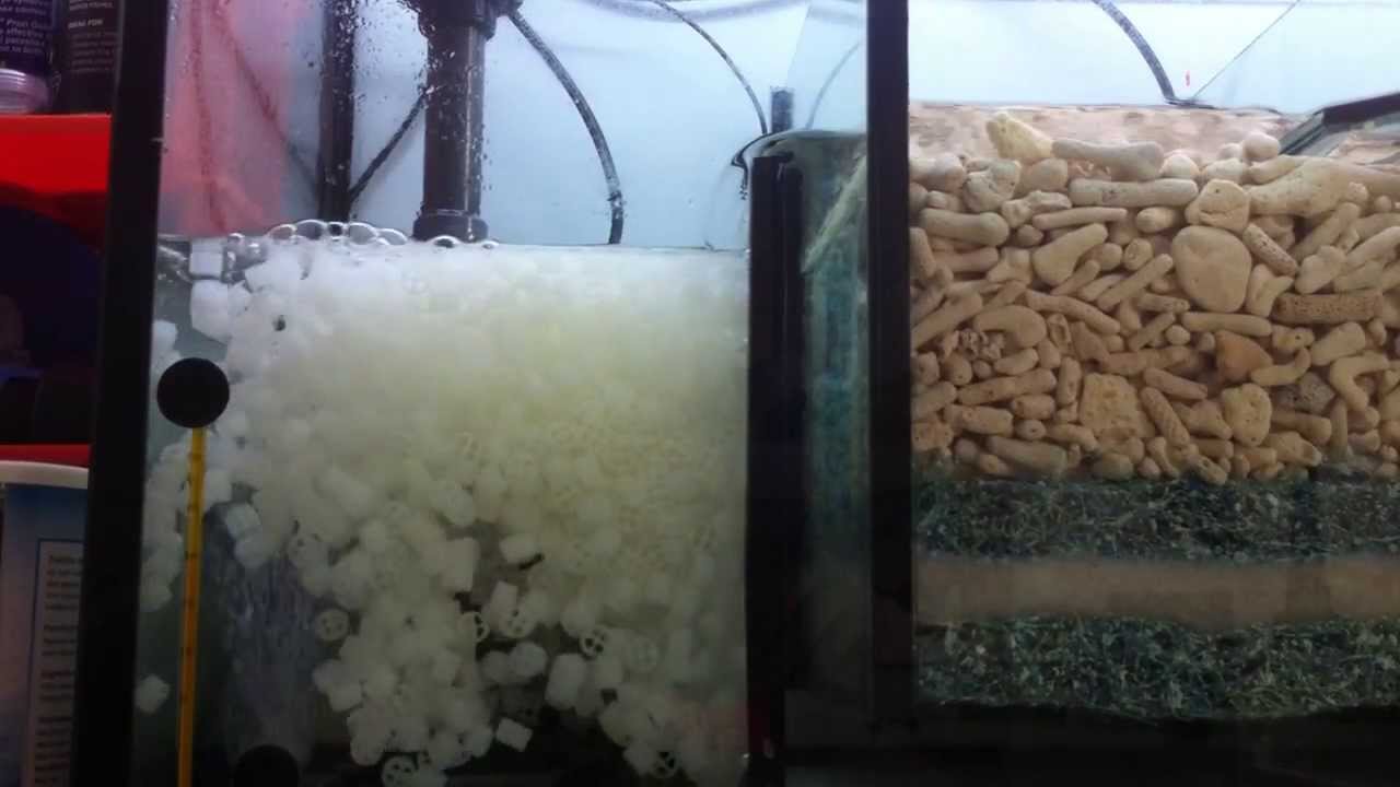 K1 in Sump