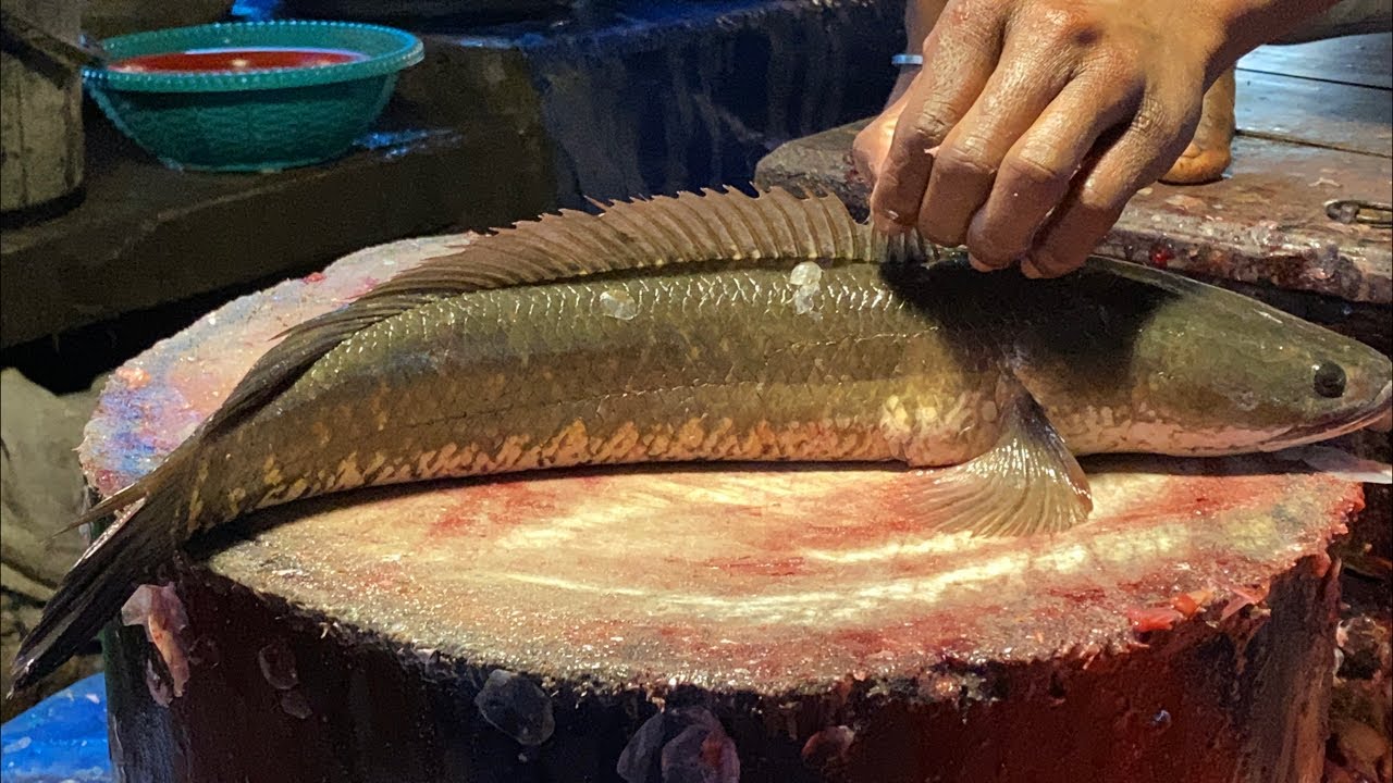 Amazing Big Fish Cutting Skills Live! 🐟🔪 | Perfect Slice BD ✨