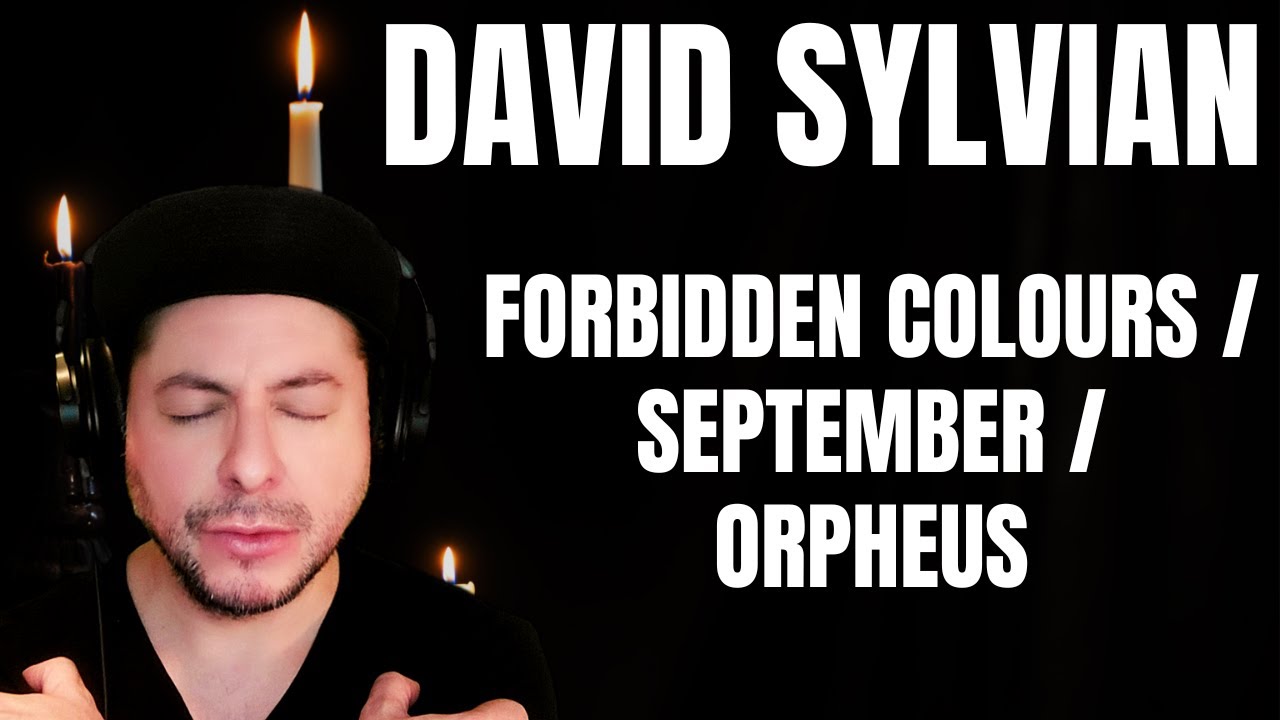FIRST TIME HEARING David Sylvian- 