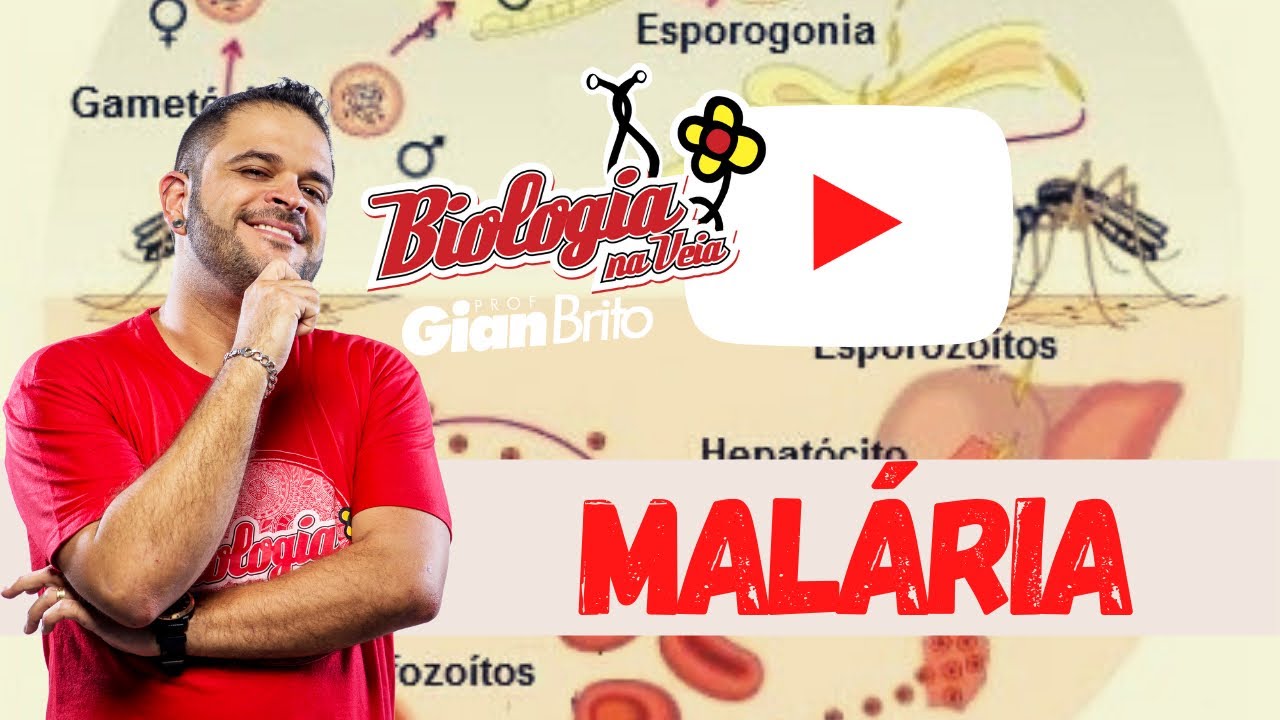 MALÁRIA - AULA TEÓRICA