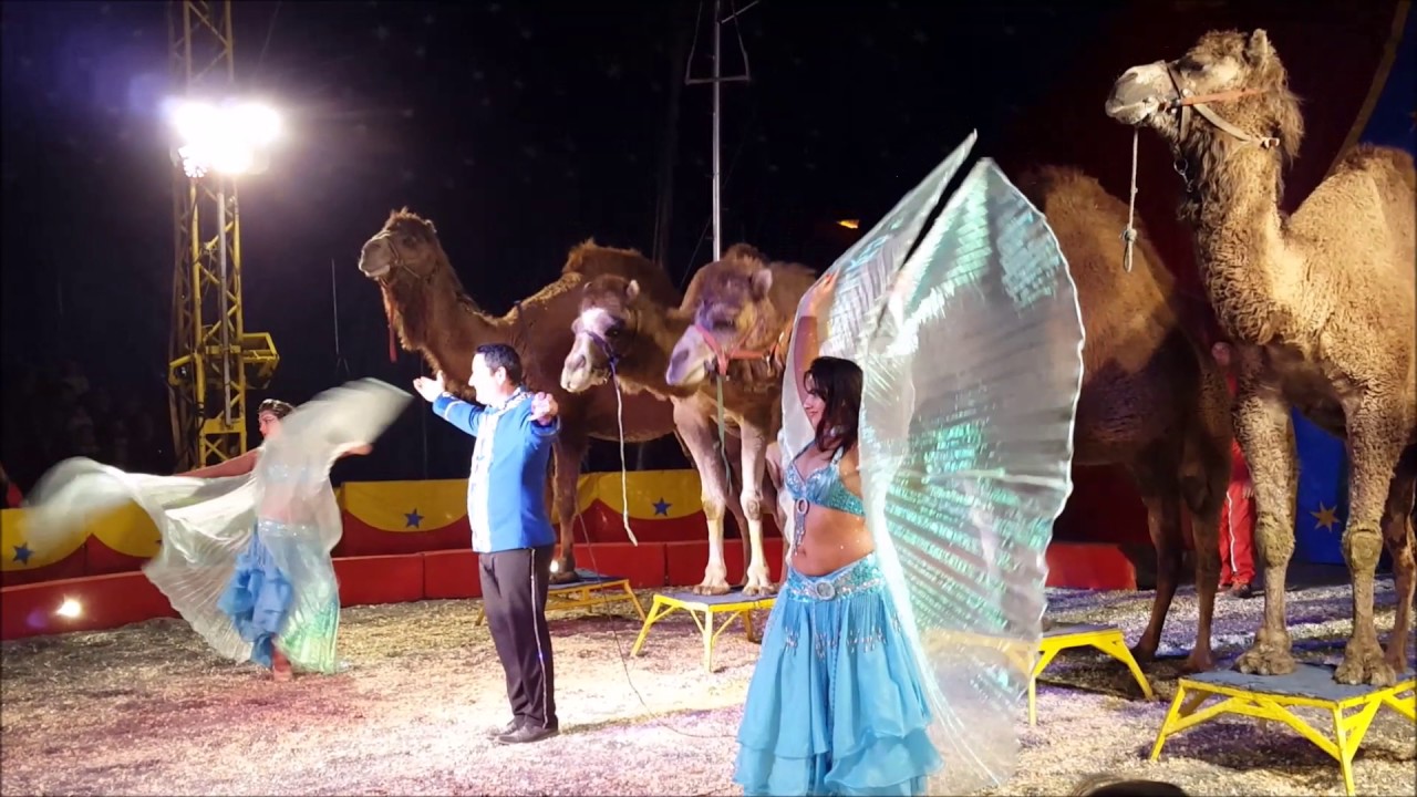 CIRQUE ROGER LANZAC 2017