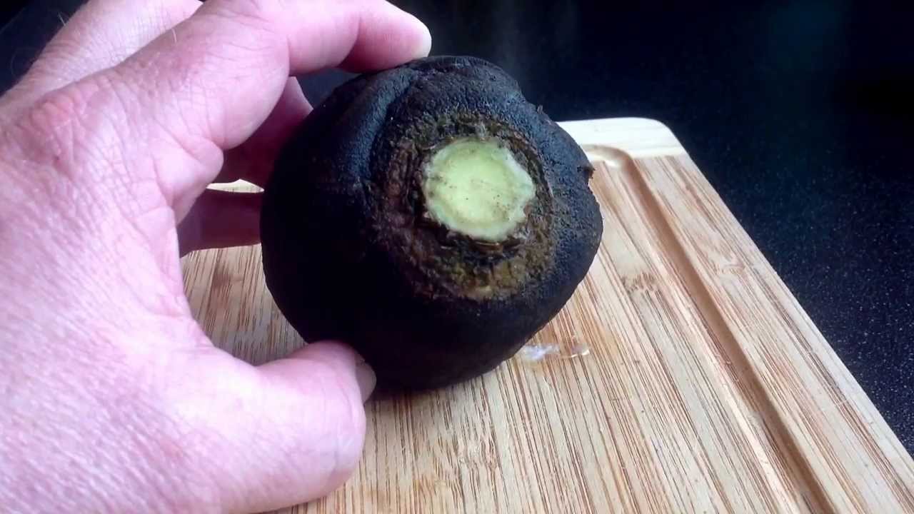 Hustensaft aus schwarzem Rettich , Rezept Tutorial , Recipe