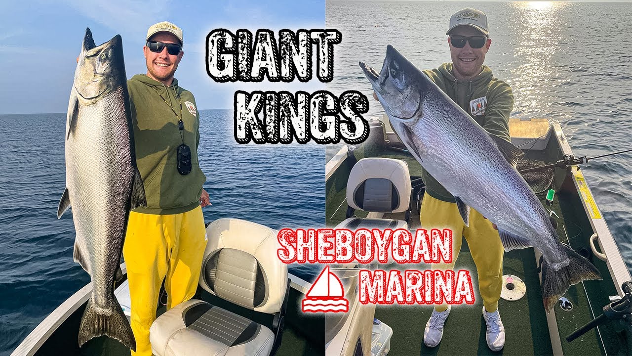 Biggest KING SALMON - Sheboygan Wisconsin