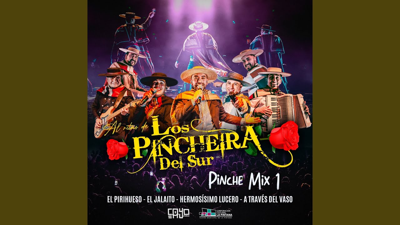Pinche Mix 1