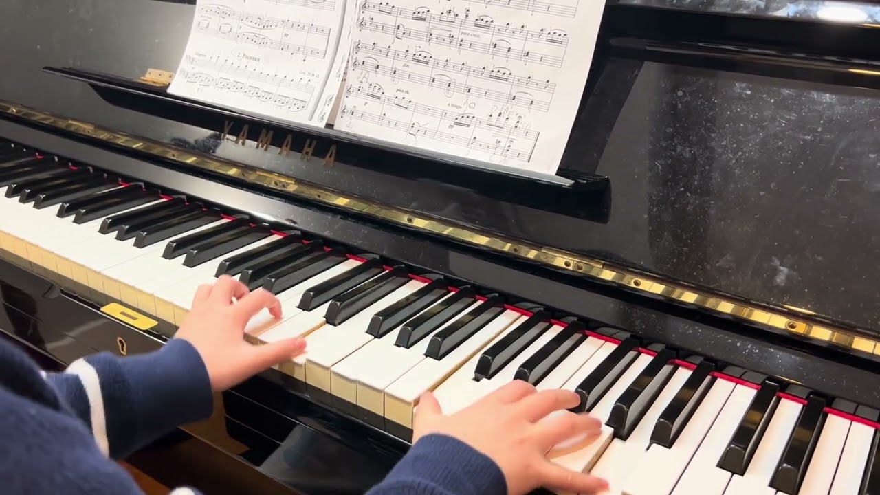 Butterfly Op. 28 No. 12