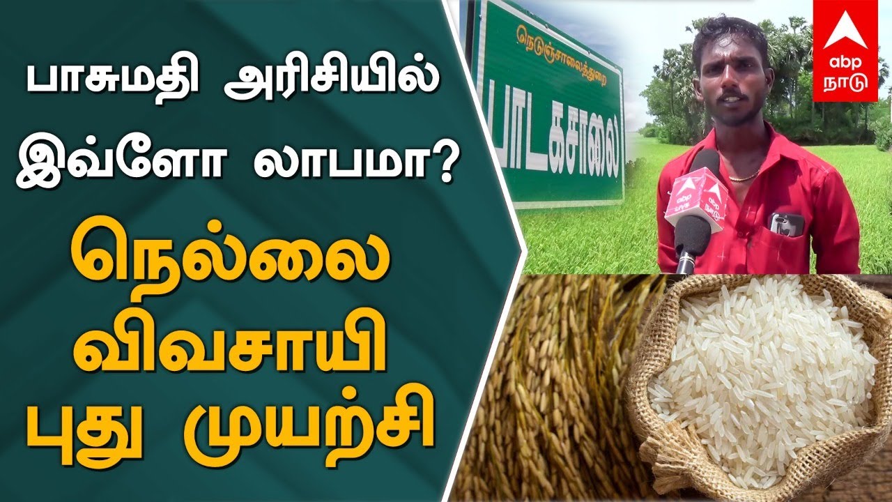 பாசுமதி அரிசியில் இவ்ளோ லாபமா? நெல்லை விவசாயி புது முயற்சி! Basmathi Rice | Thirunelveli | Farming