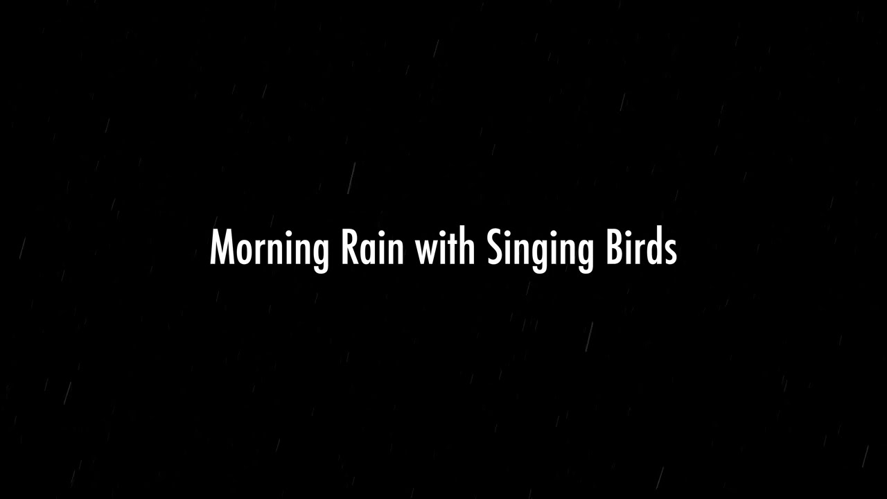 Morning Rain & Singing Birds Nature Sounds | 1 Hour Hi-Fi Audio Cozy Nature Ambience for Sleep Study