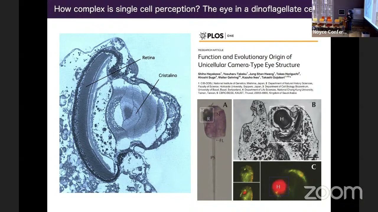 Liquid and Solid Brains: Mapping the Cognition Space - Ricard Solé