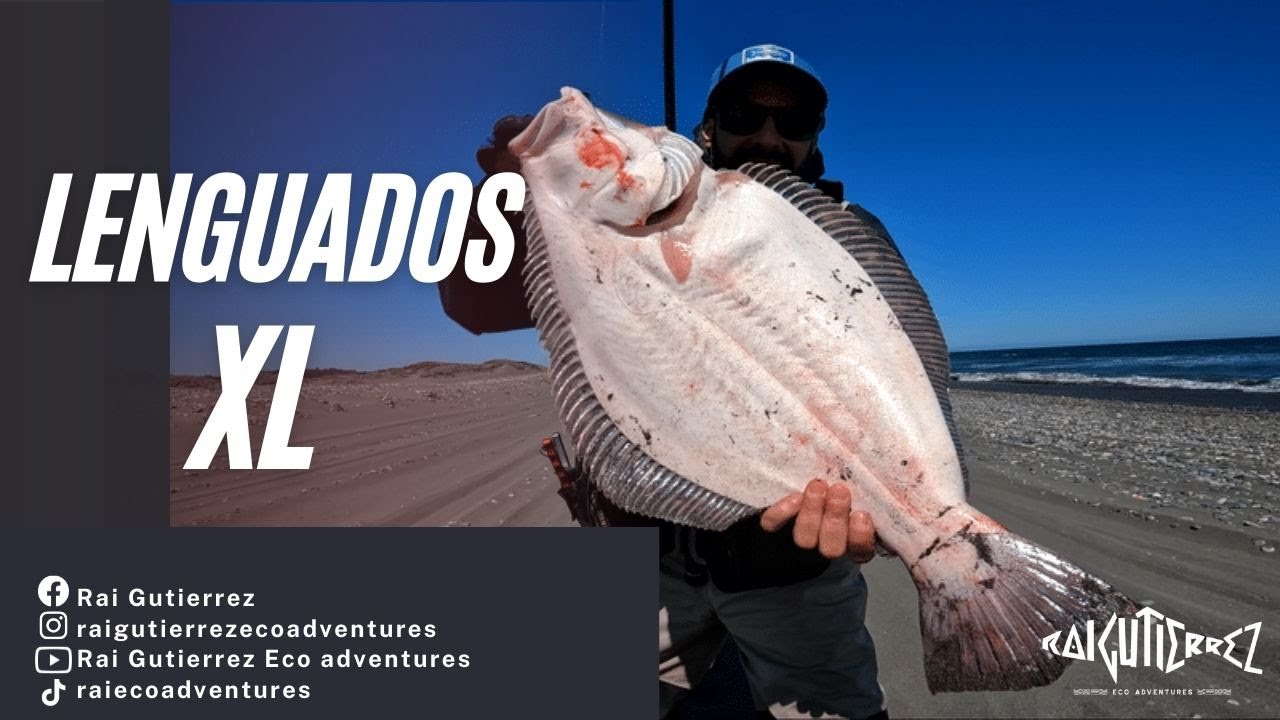 PESCA de LENGUADOS