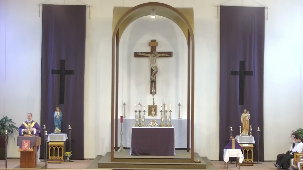 Sunday Homily 3-8-2026
