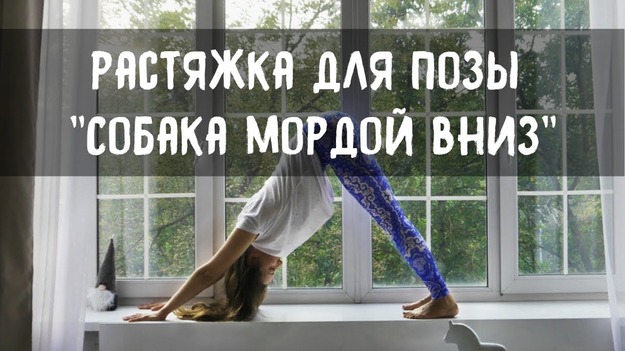 Йога для начинающих. Растяжка для позы 