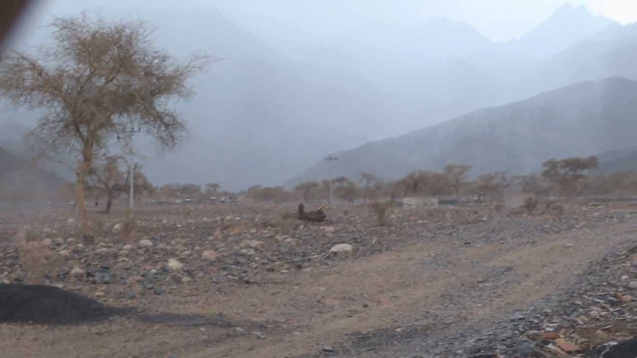 امطار رائعه ابهجتنا في جبل ورقان - المدينه المنوره
