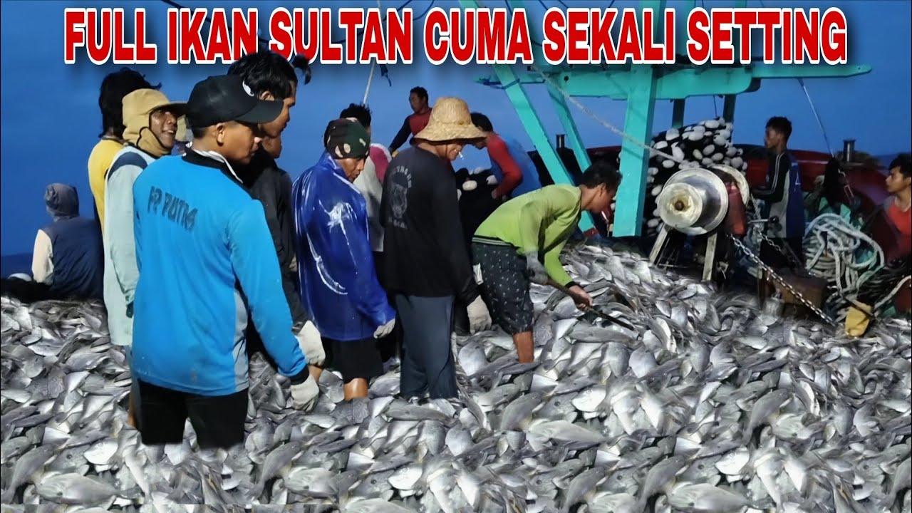 Pecah Rekor!! Berkali² jantungan melihat ikan sebanyak ini cuma Sekali setting - Cupliz Ahmad