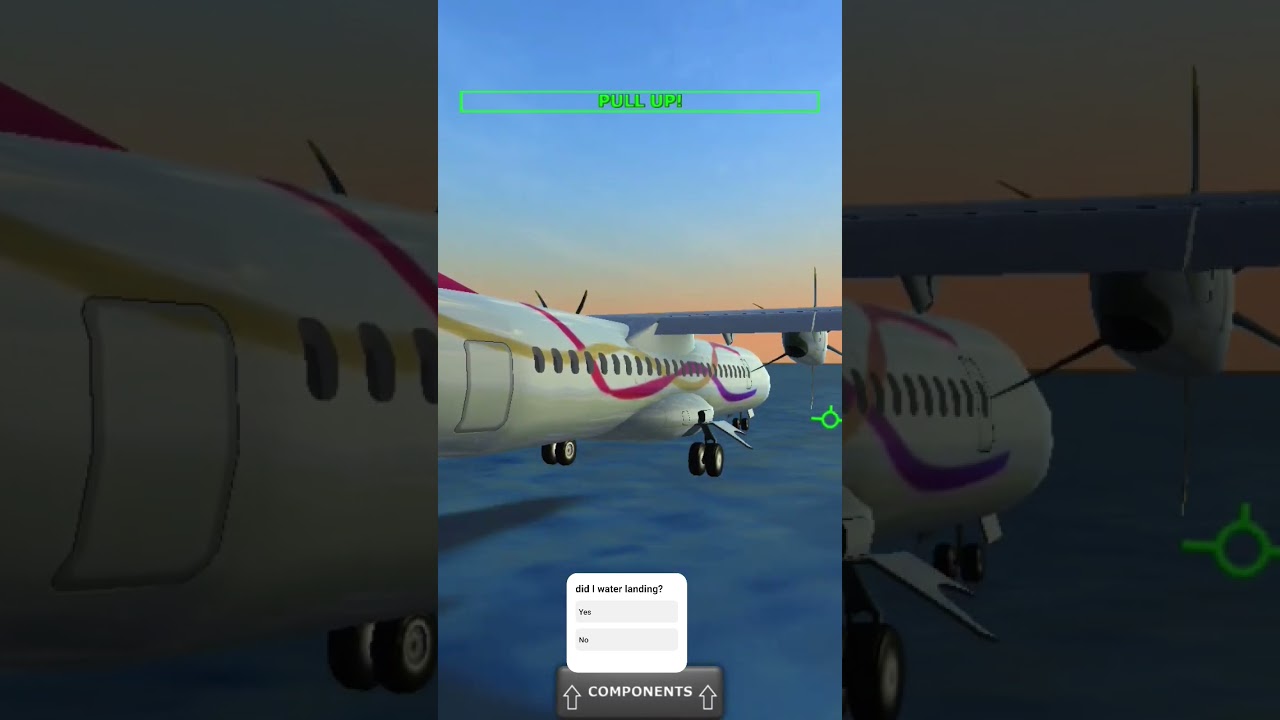 Water landing #tfs #waterlanding #planecrash