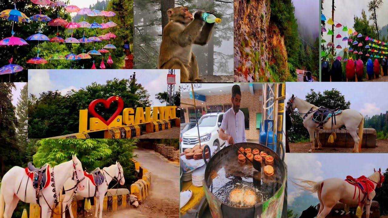 Ayubia Trip | Love Murree Galiyaat | Green Mountains Beauty | Exploring Pakistan Tourism 🇵🇰
