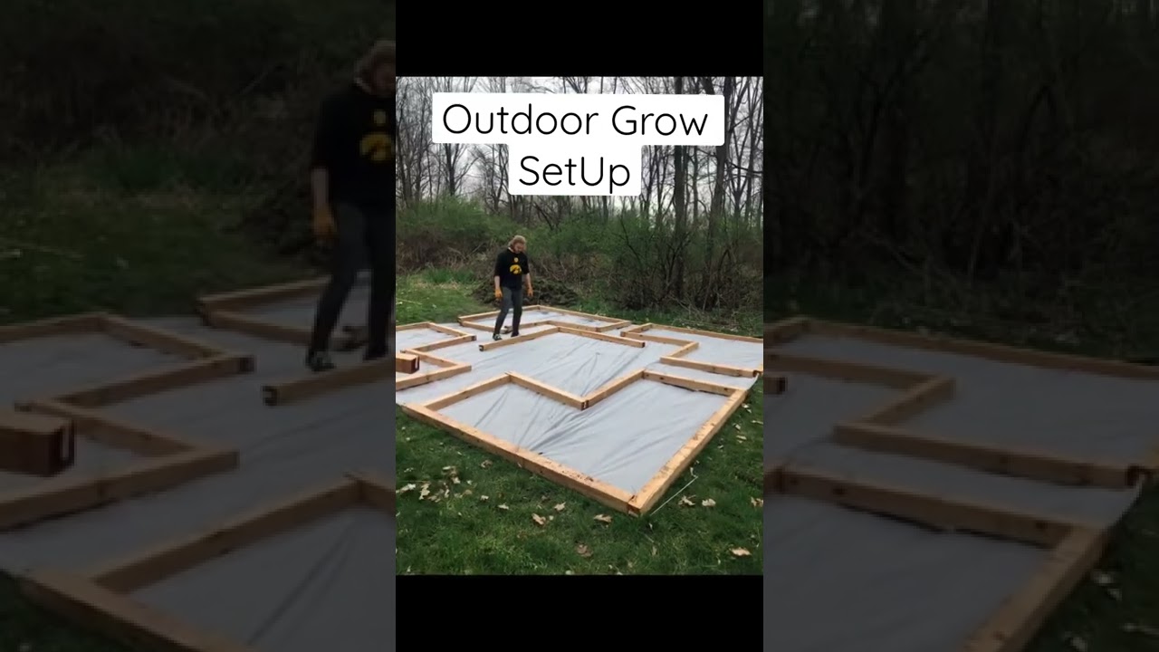 Outdoor Grow SetUp #hemp #grow #garden