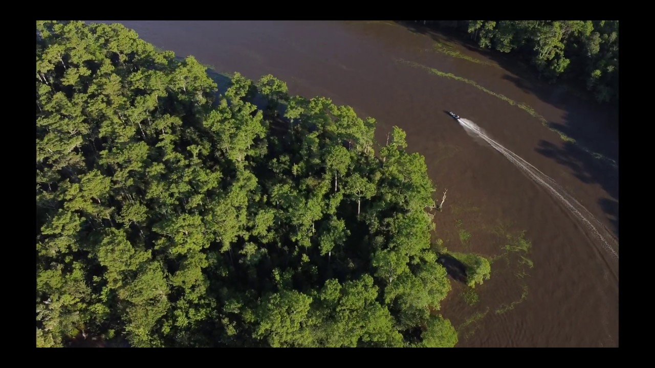 Boating on the Tchefuncte River - Madisonville, Louisiana