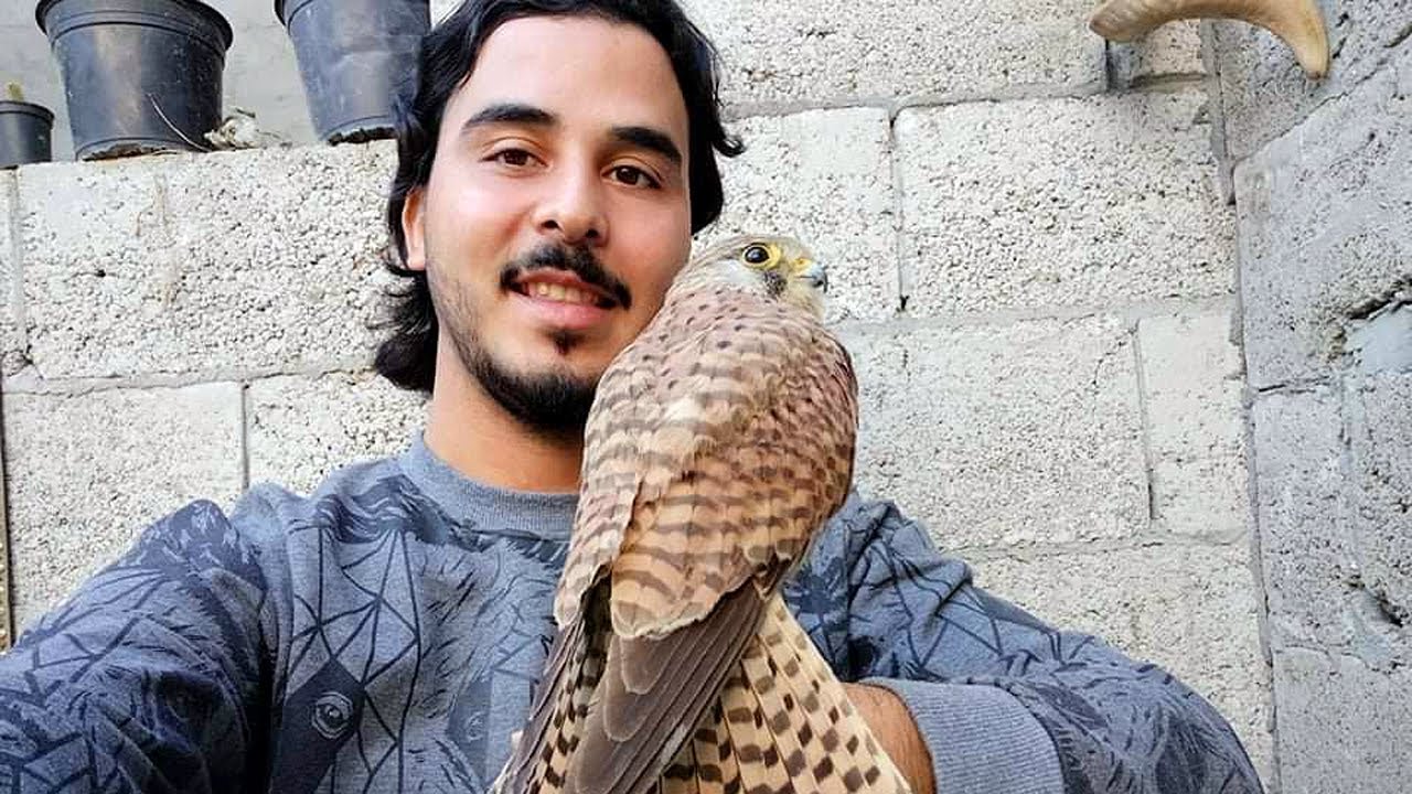 أسهل طريقة لتدريب صقر الشرياص - تدريب صقر الباشق مع فضل نبهان