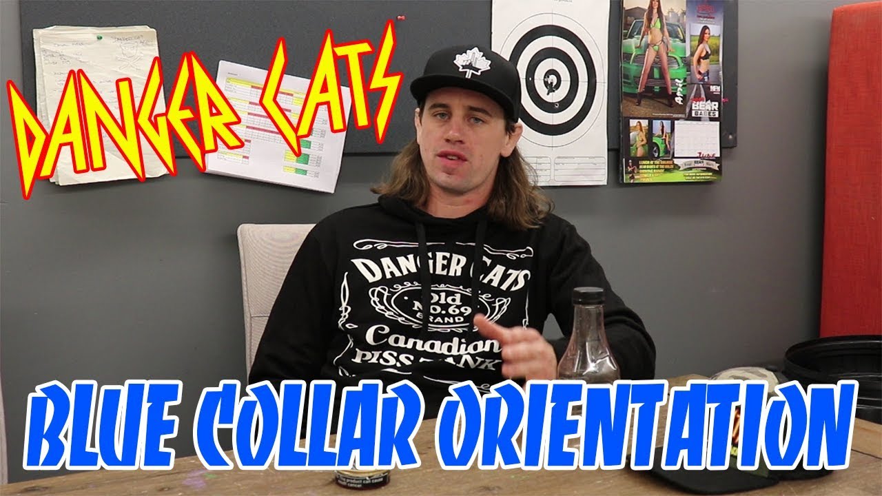 Blue Collar Orientation - Danger Cats