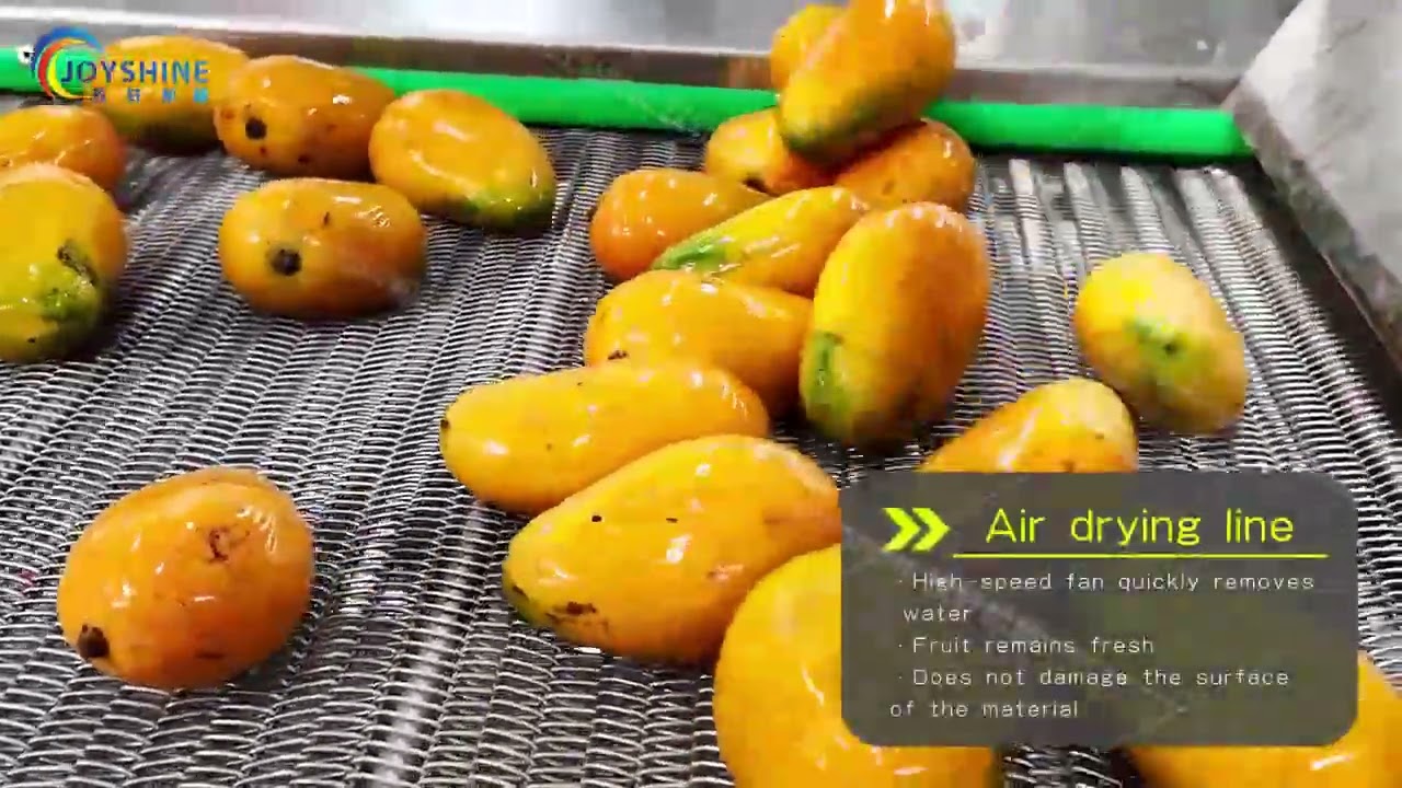 Mango washing and drying production line | Joyshine Machinery