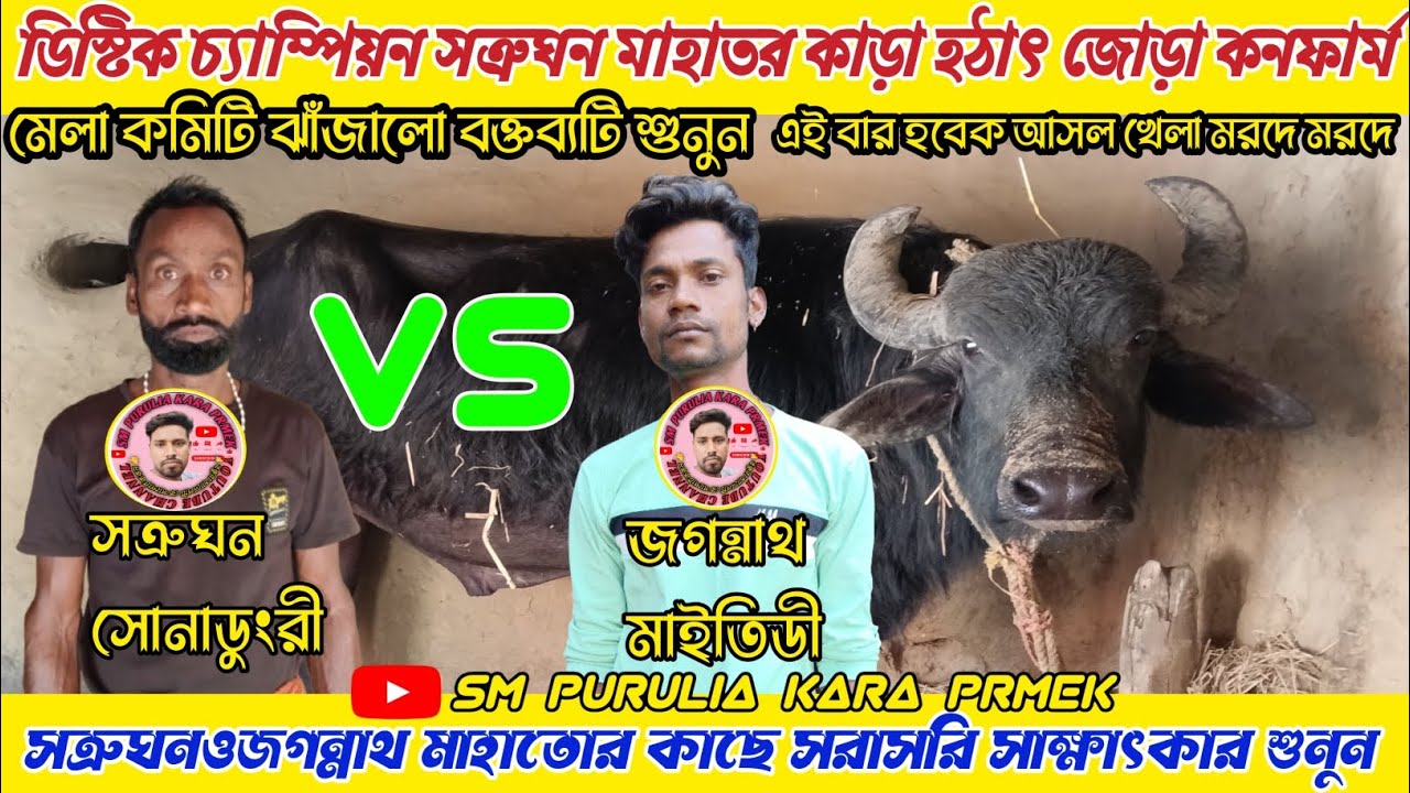 ডিস্টিক চ্যাম্পিয়ন সত্রুঘন মাহাতর কাড়া হঠাৎ জোড়া কনফার্ম!সত্রুঘনওজগন্নাথ মাহাতর কাছে  সাক্ষাৎকার। 