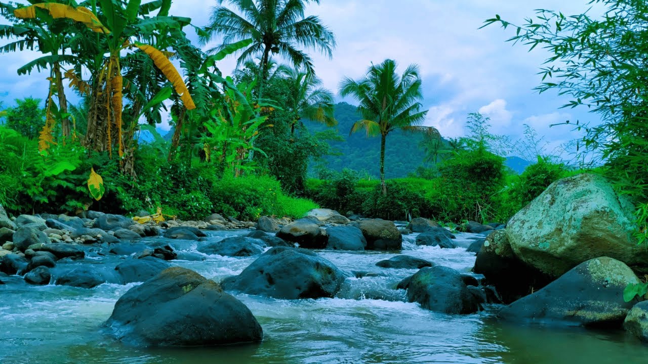 Unbelievably Peaceful! Tropical River Sounds for Deep Sleep, Relaxation & Healing Meditation