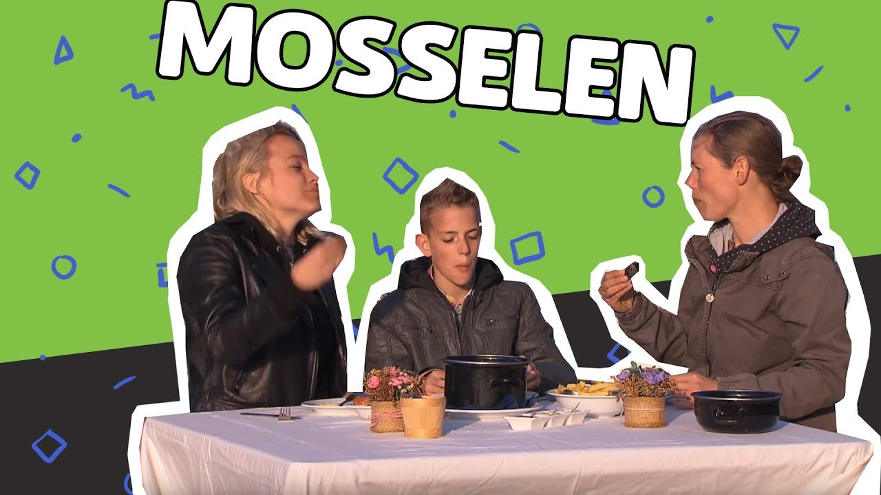 WAAR KOMEN SCHELPEN VANDAAN? // Willem Wever // #45