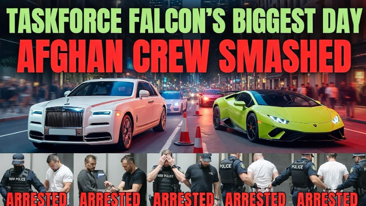 Taskforce Falcon vs. The Afghani Crew: The Raid That Changed Sydney