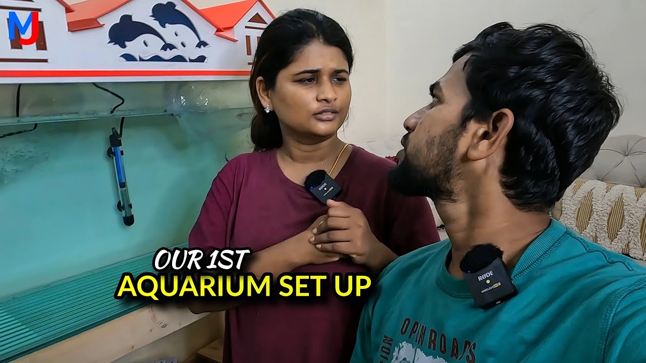 My FIRST Aquarium Setup | எனது புதிய மீன் தொட்டியின் அமைப்பு 🐠