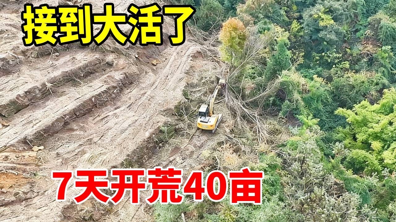 七天开荒四十亩荒地是个什么样的体验 #工地 #excavator #挖地基 #熱門 #挖掘機