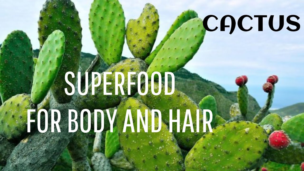 CACTUS || SUPERFOOD FOR BODY AND HAIR