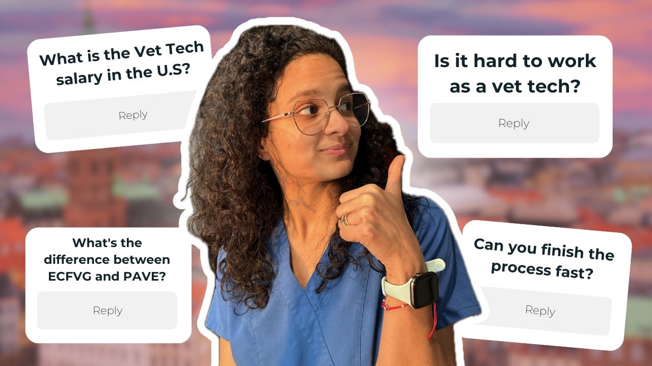 Foreign Vet Q&A: Everything You Need to Know