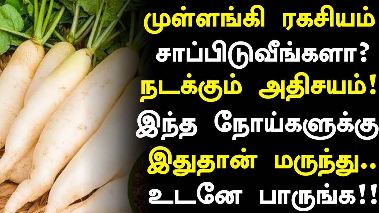 முள்ளங்கி சாப்பிட்டால் 10 நன்மைகள்! |Radish Health Benefits in Tamil| Mullangi Health Tips in Tamil 