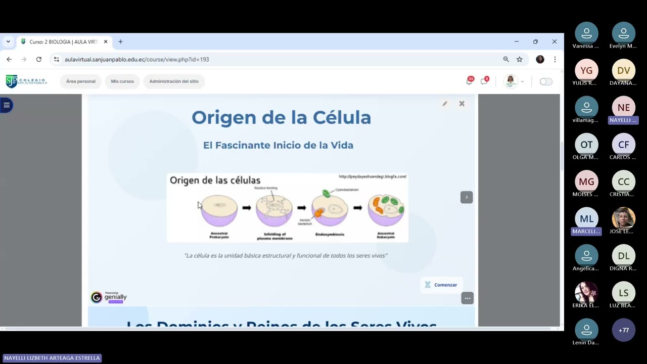 TEMA: PROPEDÉUTICO
