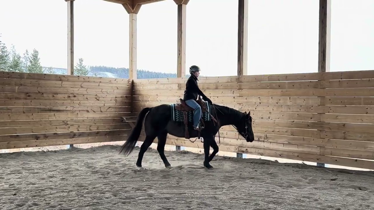 Cadence and Billy   ranch pleasure