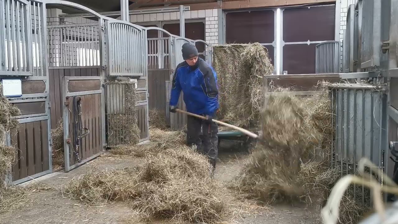 Praca w Stajni