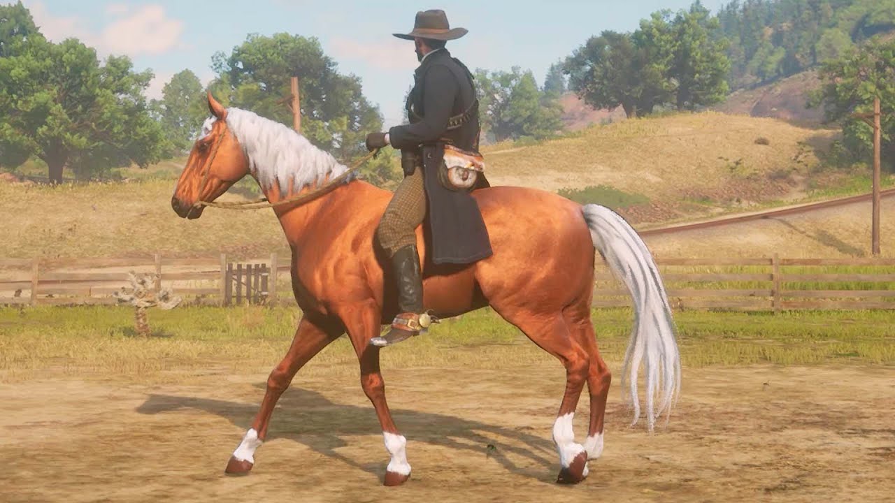 CABALLO DE BRONCE | RED DEAD REDEMPTION 2