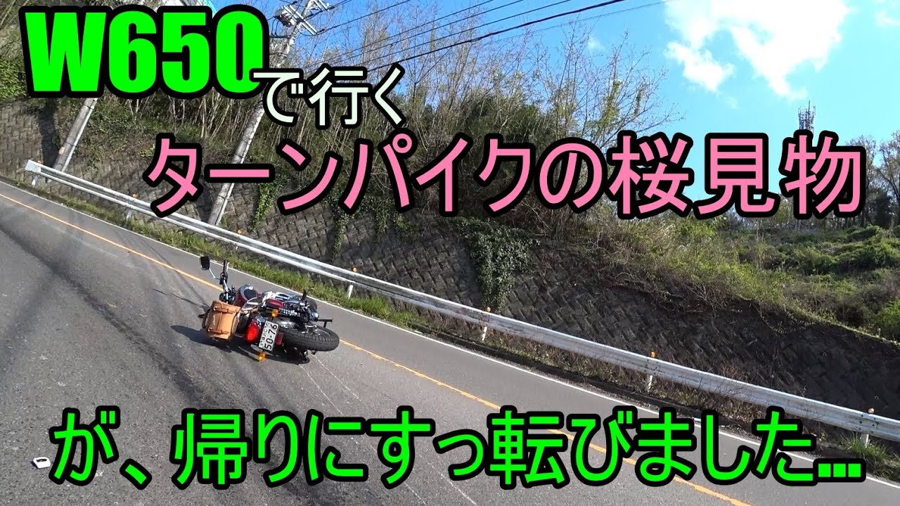 【W650】桜見物の帰りに…スリップ転倒(´；ω；｀)
